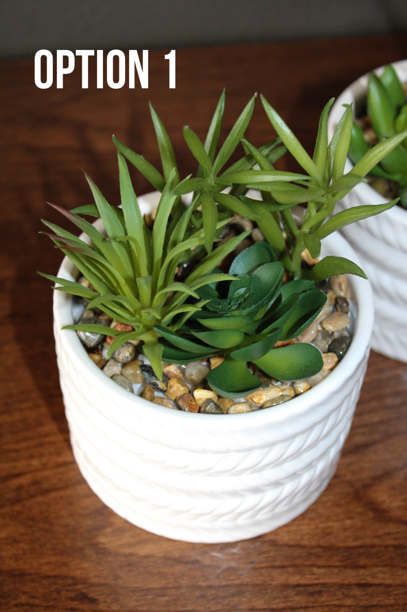 Assorted Succulents With White Pots