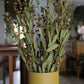 Beaded Bud Stems