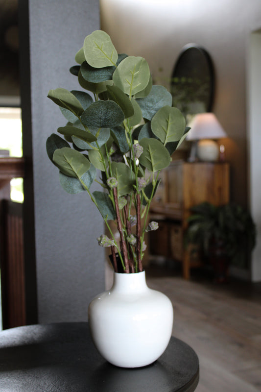 Eucalyptus Stem with Pods