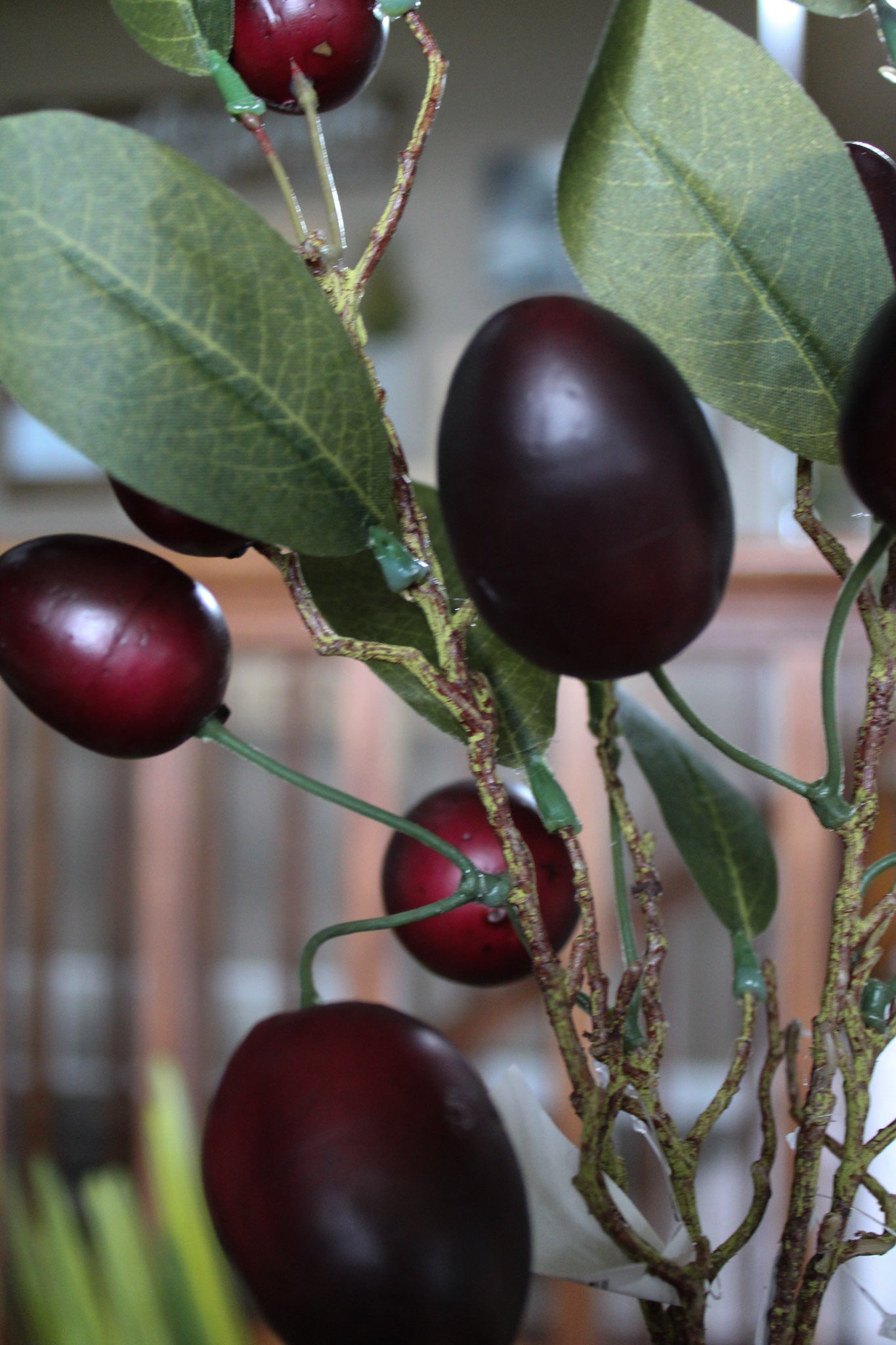 Plum Stem