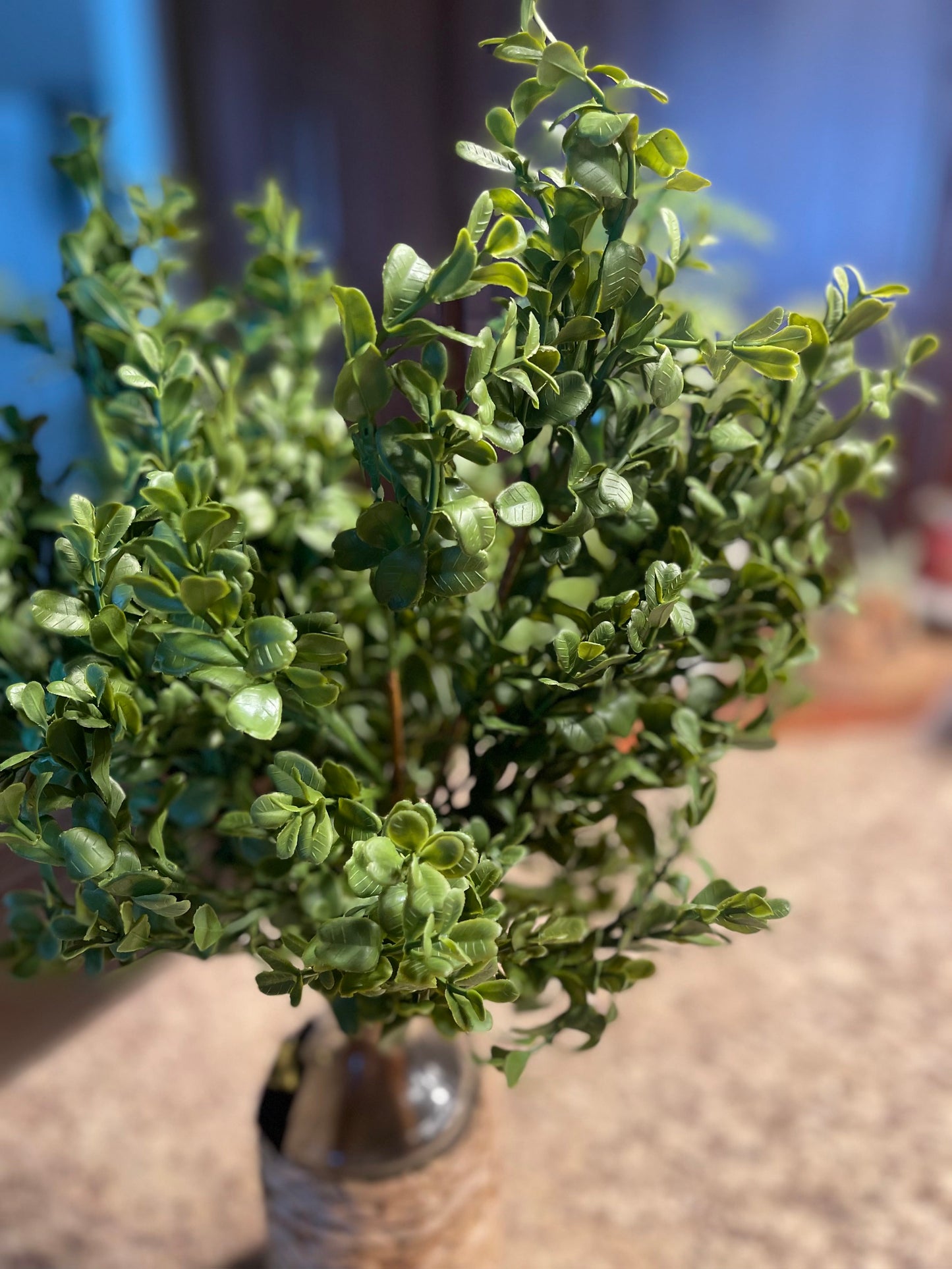 Boxwood Bush Stem