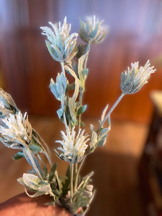 Thistle Stems