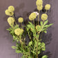 Mini Allium Bush Stem
