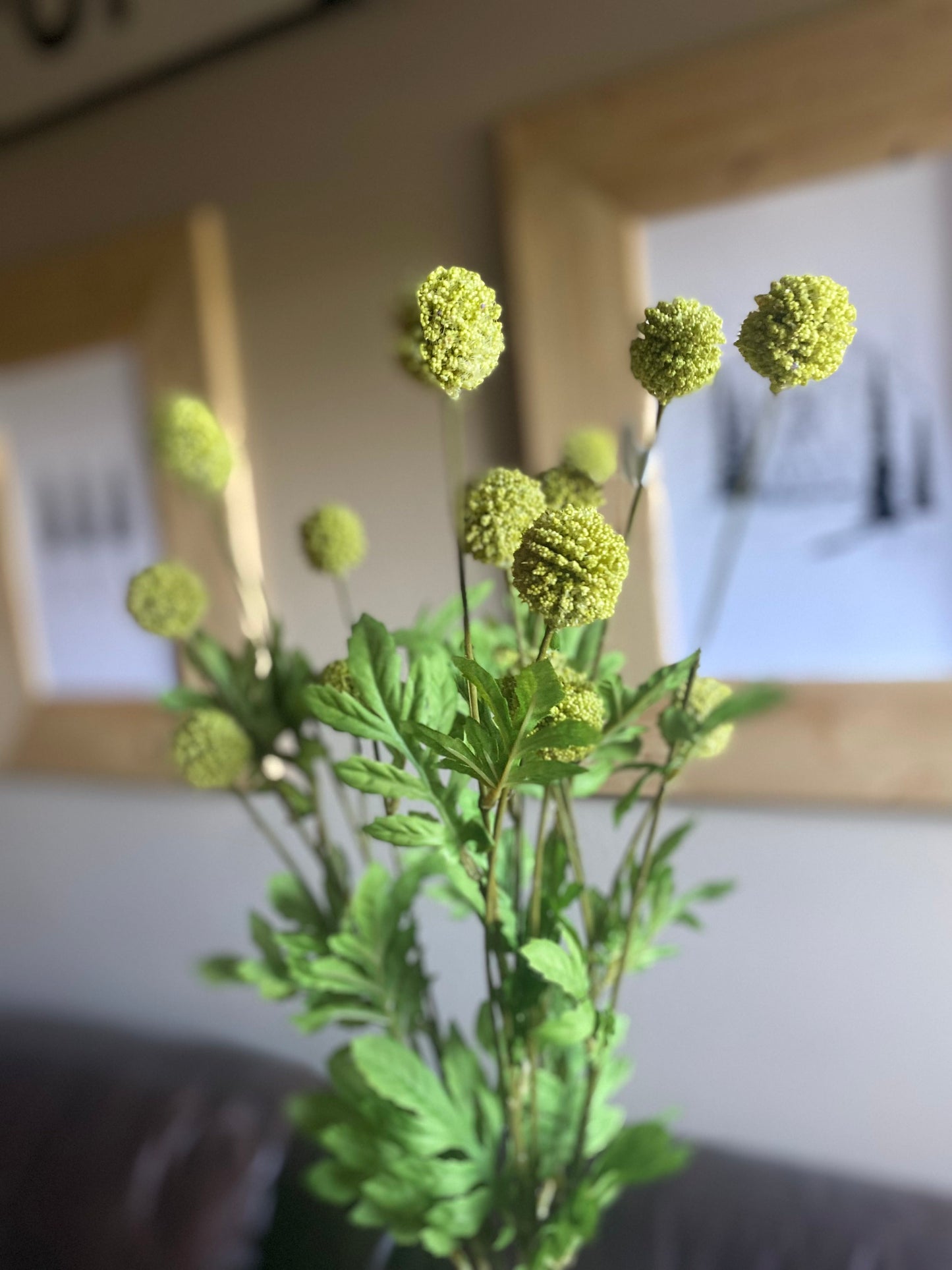 Mini Allium Bush Stem